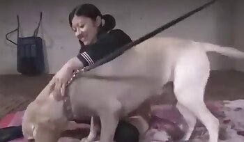 hayvanat bahçesi porno videoları,hayvan kız sikiyor