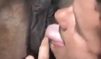 sex with animal,zoo porn videos