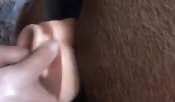 quan hệ tình dục với động vật,phim khiêu dâm sex thú tính