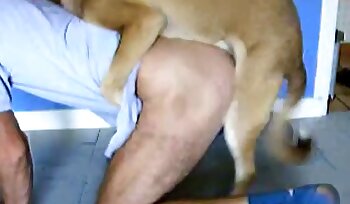 sexo con animales,porno de sexo bestial