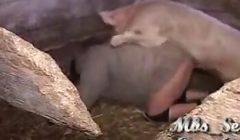 sex so zvieraťom,porno so sodomiou