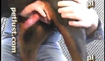 sex so zvieraťom,porno videá zoo