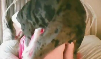 seks ze zwierzęciem,porno z seksem bestialskim