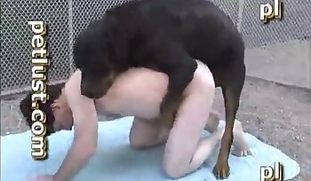 sexo com animal,pornografia sexual bestial