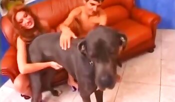 seks ze zwierzęciem,porno z seksem bestialskim