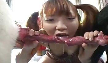 Sex mit Tieren,Porno mit Hund