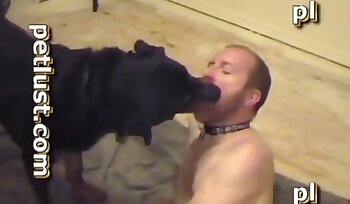 phim khiêu dâm với chó,phim khiêu dâm sex thú tính