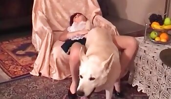 seks met dieren,porno met hond