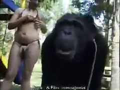 animalsex