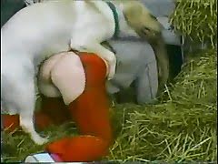 animal sex woman