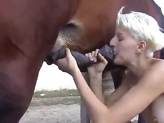 animal sex woman