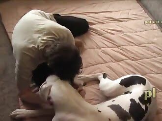 dude fucks with animal