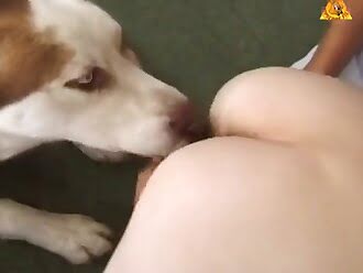 dogsex