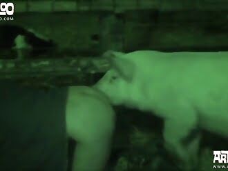 sex zoo
