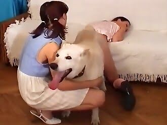 dogsex