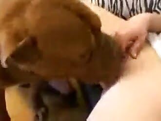 passionate zoophilia