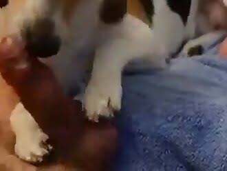 beastiality facials