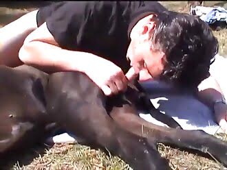 gay animal porn