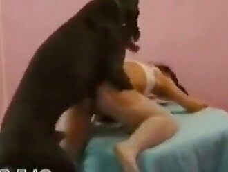 animal sex woman