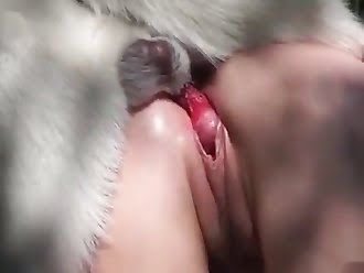 animal sex woman