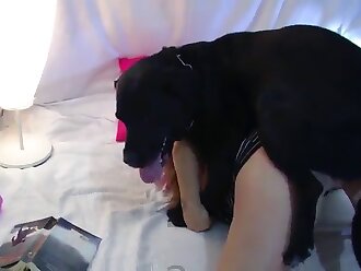 licks girls pussy