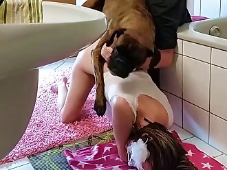dogsex