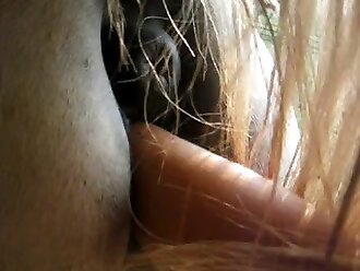 animalporn