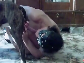 animalsex
