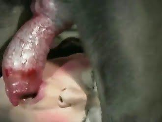 animal cum