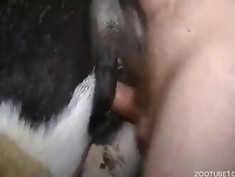 close up porn