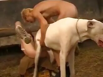 Zoo Porn Free bestiality porn videos with a huge kind of animals  