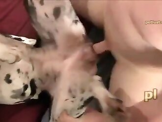 zoo porn