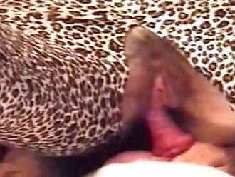 hardcore animal sex