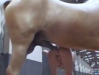 zoo porn