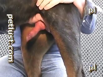 animal human porn