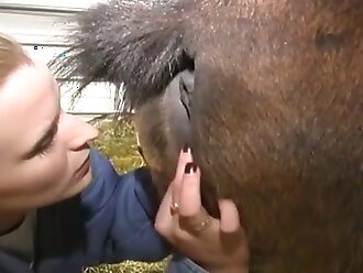 free horse sex