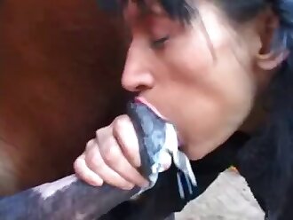 xxx dog sex