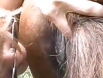 passionate zoophilia