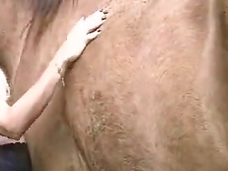 passionate zoophilia