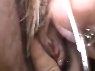 passionate zoophilia