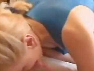 free horse sex