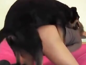 zooporn