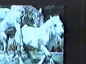 passionate zoophilia