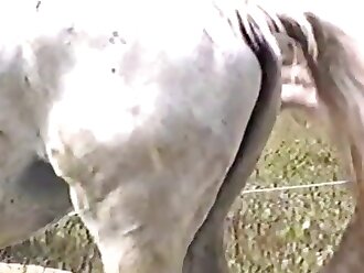 passionate zoophilia