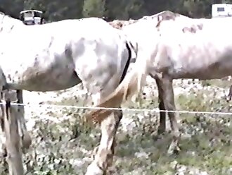 passionate zoophilia