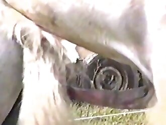 passionate zoophilia