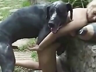 free horse sex