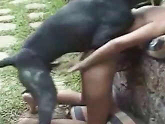 free horse sex