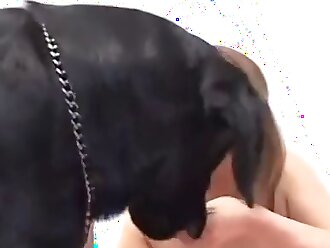 sex animals