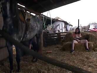 animalsex
